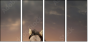 46097266