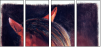 46243808