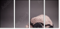 46421983