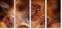 47749181