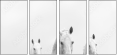 48172721