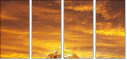 48905885
