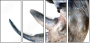 49240267