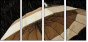 49306047
