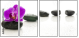 49566256