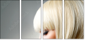 50250548