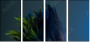 50564432