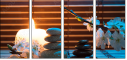 50934171