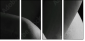 51083503