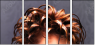 51430961