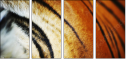 51974402