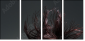 52116617