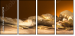 52670728