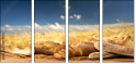 52793015