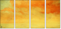 53049559