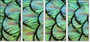 53512479
