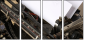 5370136