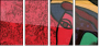 53800770