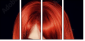 53895849