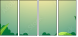 54070093