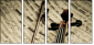 54506799