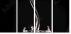 54808918
