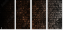54969981