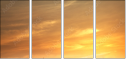 54974402