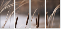 55661015