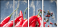 55751143