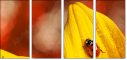 55820987