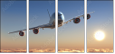 56401870