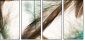 56562123