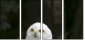 57060206