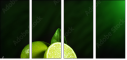 57479075