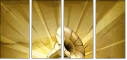 57686954
