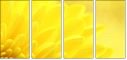 57915870