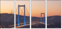 58063281