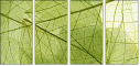58647115