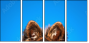 58783058