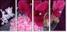 59389806