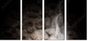 59781702