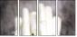 59831129