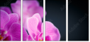 59923716