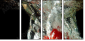 60316396