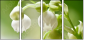 60390048