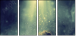 62549974