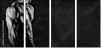 63490164