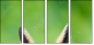 63805438