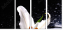 64347544